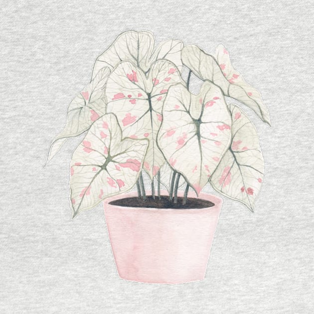 Pink Houseplant Watercolour - Caladium by Flowering Words